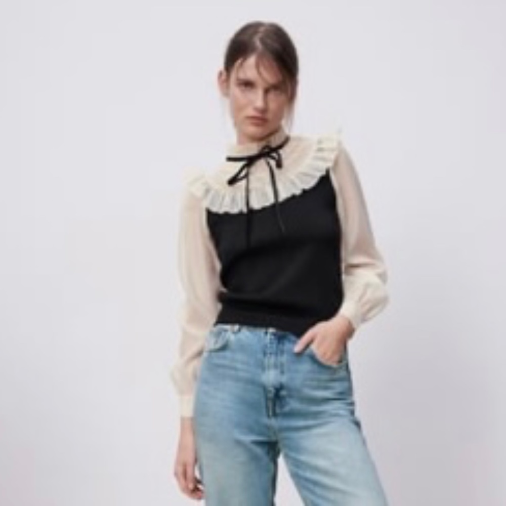 Zara Organza Contrasting Sweater